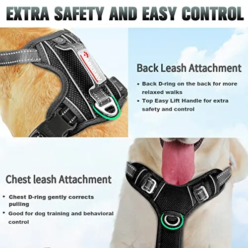 BARKBAY No Pull Dog Harness Large Step in Reflective Dog Harness with Front Clip and Easy Control Handle for Walking Training Running with ID tag Pocket(Violet Purple,M)