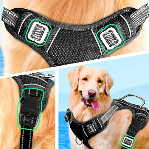 BARKBAY No Pull Dog Harness Large Step in Reflective Dog Harness with Front Clip and Easy Control Handle for Walking Training Running with ID tag Pocket(Violet Purple,M)