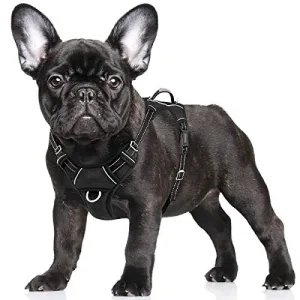 BARKBAY No Pull Dog Harness Large Step in Reflective Dog Harness with Front Clip and Easy Control Handle for Walking Training Running with ID tag Pocket(Violet Purple,M)