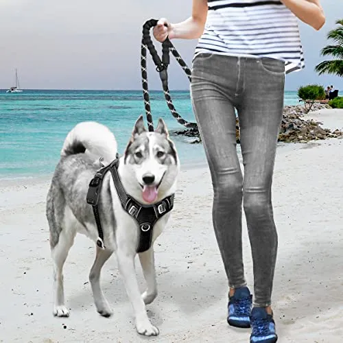 BARKBAY No Pull Dog Harness Large Step in Reflective Dog Harness with Front Clip and Easy Control Handle for Walking Training Running with ID tag Pocket(Violet Purple,M)